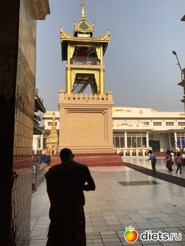 544 ����: ������ 2017. �����