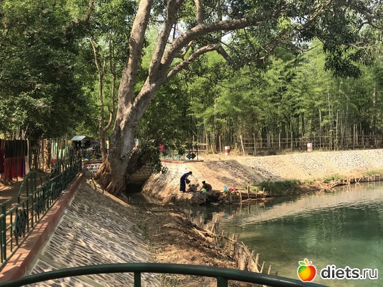 674 ����: ������ 2017. �����