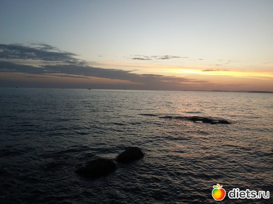 42 ����: ����������� �����