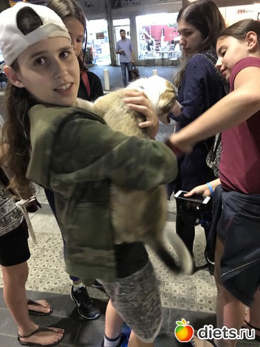 6 ����: ����