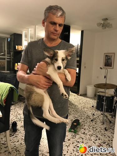 7 ����: ����