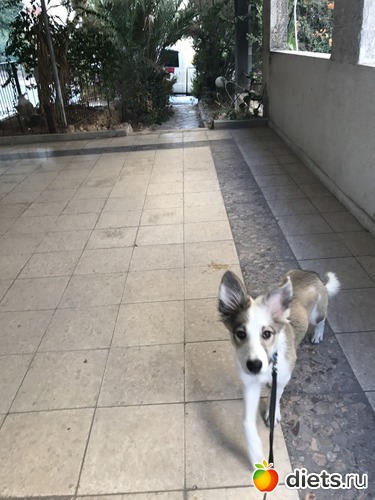 8 ����: ����