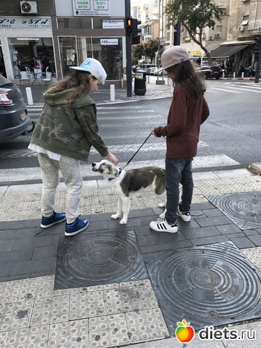 155 ����: ������-������� 2017. ��� 53-54