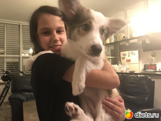 10 ����: ����