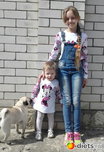 311 :  (    )....  ....