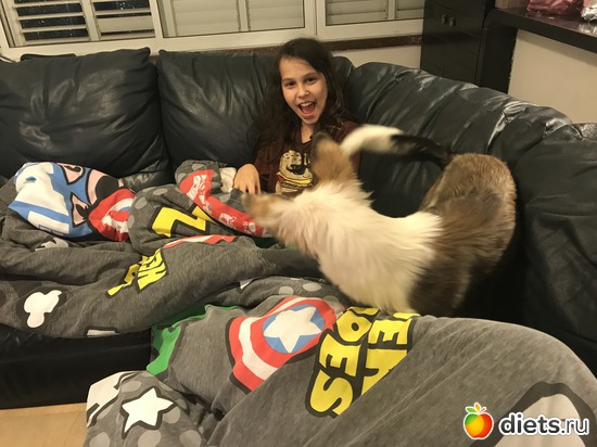 13 ����: ����