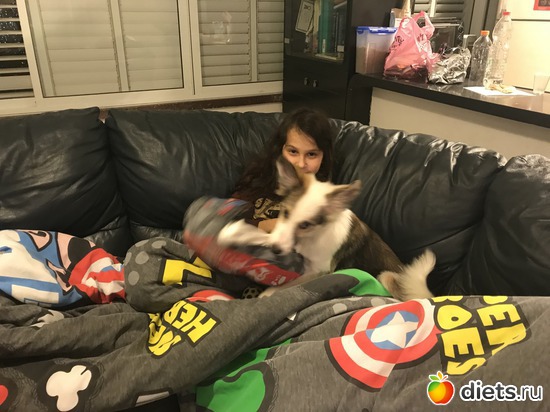 15 ����: ����