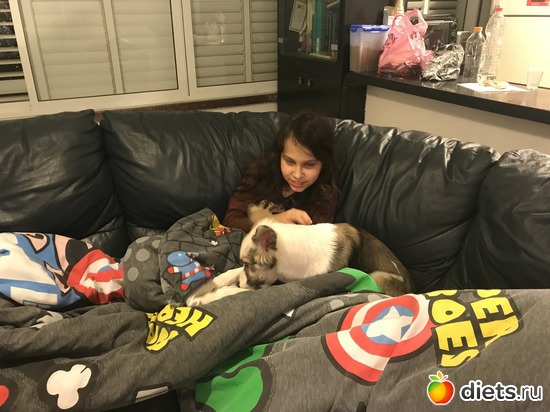 16 ����: ����