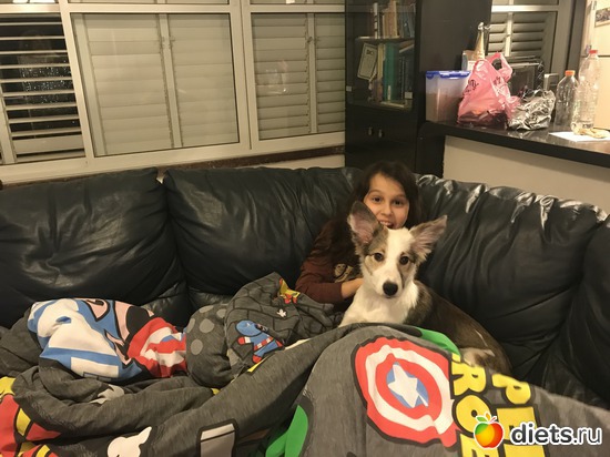 17 ����: ����