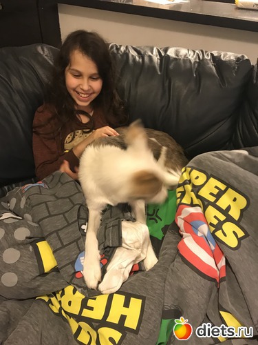 23 ����: ����