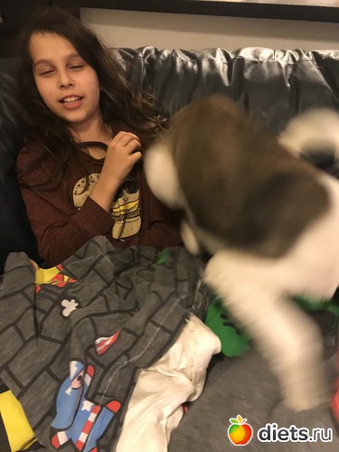 22 ����: ����