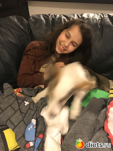 20 ����: ����