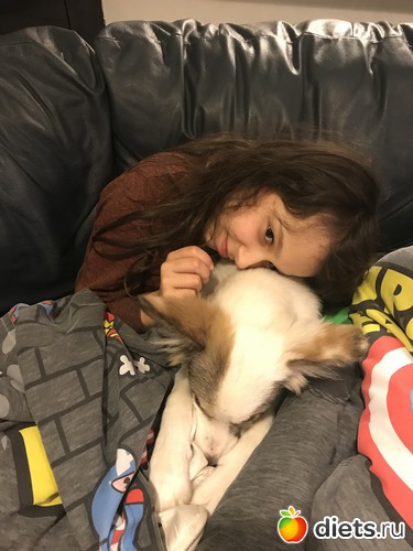 19 ����: ����