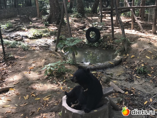 128 ����: ������ 2017. ����