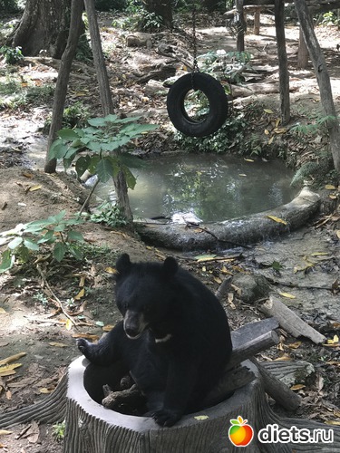 129 ����: ������ 2017. ����