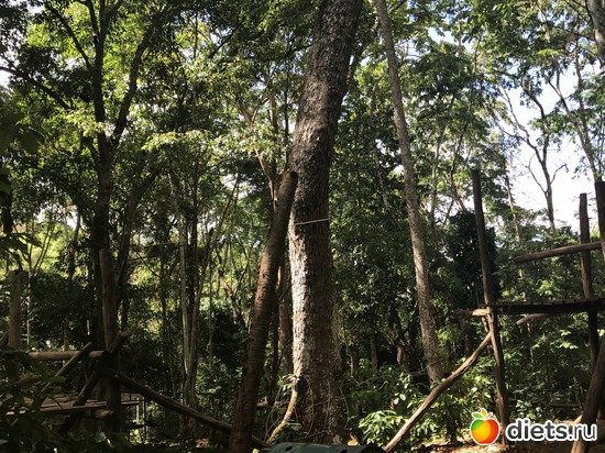 130 ����: ������ 2017. ����