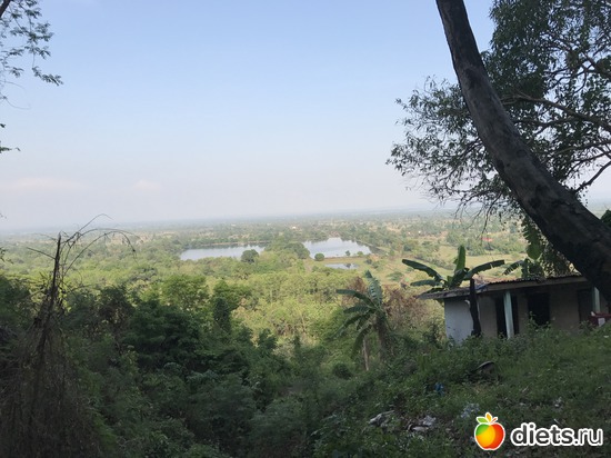 361 ����: ������ 2017. ����