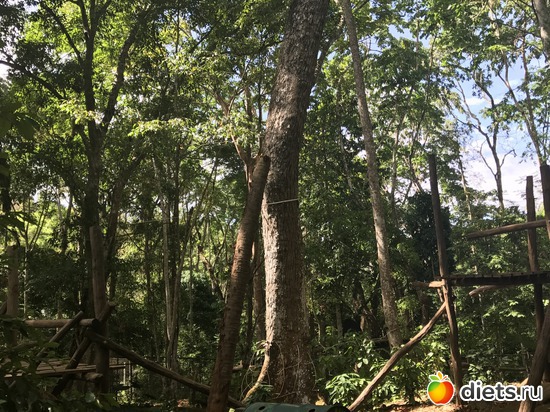 131 ����: ������ 2017. ����