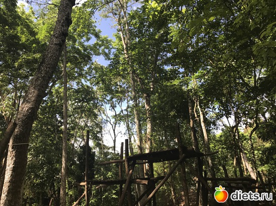 132 ����: ������ 2017. ����