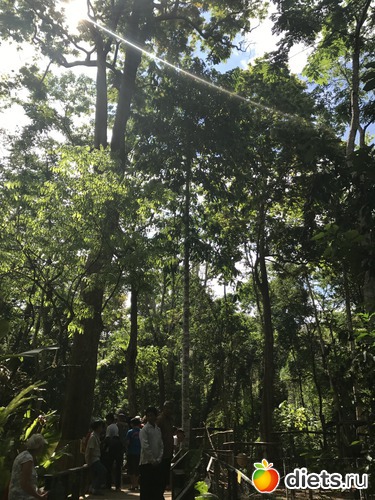 133 ����: ������ 2017. ����