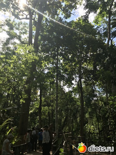 134 ����: ������ 2017. ����