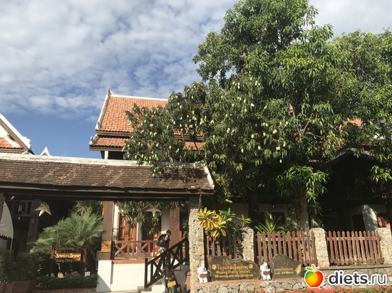 137 ����: ������ 2017. ����