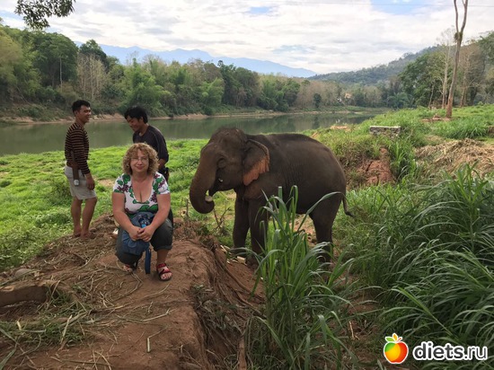 138 ����: ������ 2017. ����