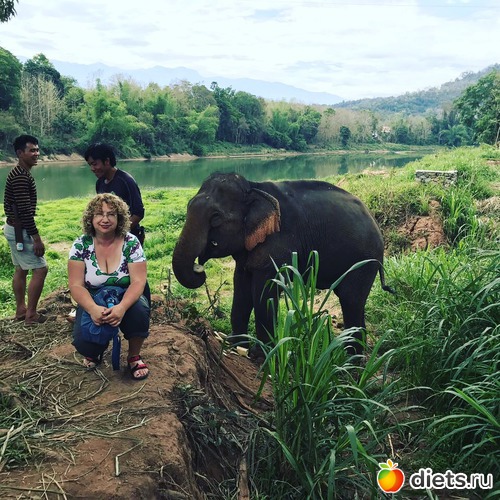 139 ����: ������ 2017. ����