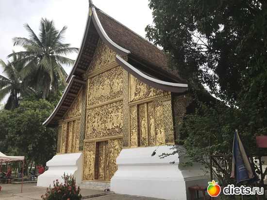 141 ����: ������ 2017. ����