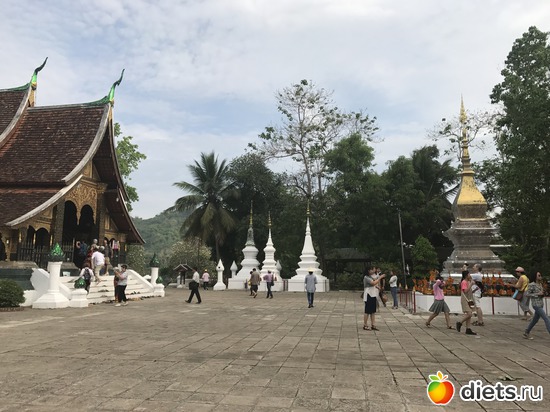 146 ����: ������ 2017. ����