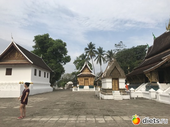 147 ����: ������ 2017. ����