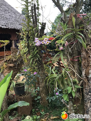 362 ����: ������ 2017. ����