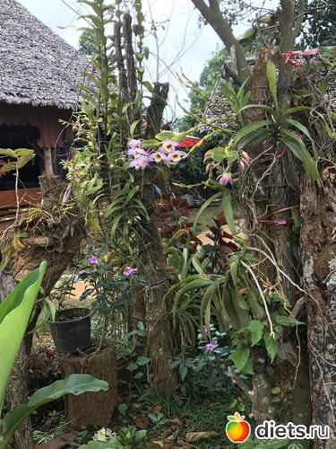 363 ����: ������ 2017. ����