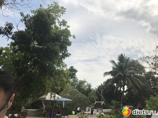 153 ����: ������ 2017. ����