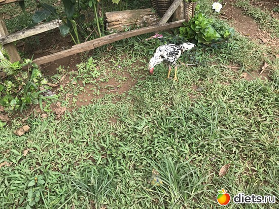 365 ����: ������ 2017. ����