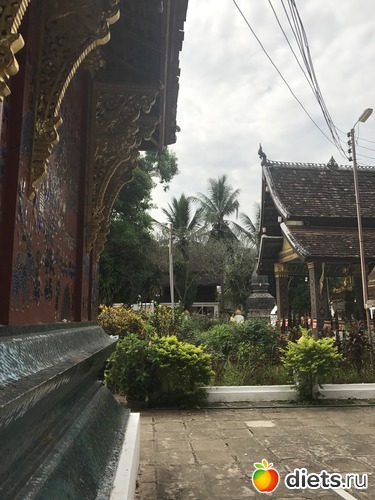 155 ����: ������ 2017. ����