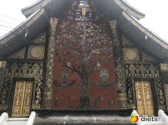 158 ����: ������ 2017. ����