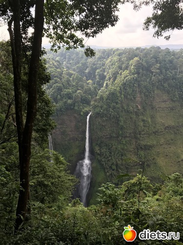 369 ����: ������ 2017. ����