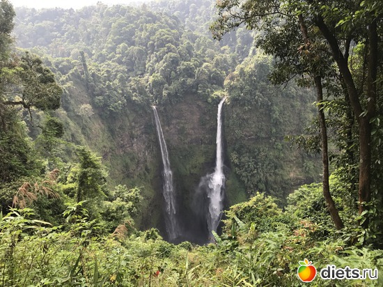 371 ����: ������ 2017. ����