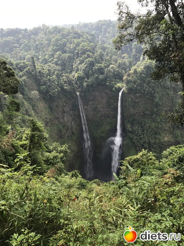 372 ����: ������ 2017. ����