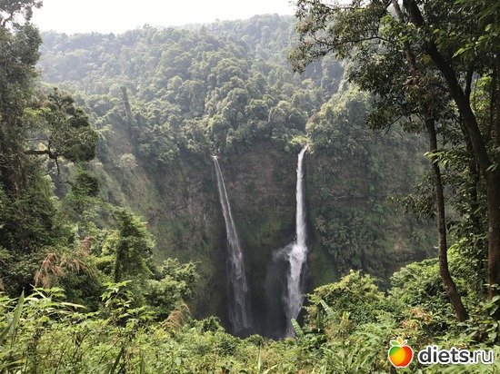 373 ����: ������ 2017. ����