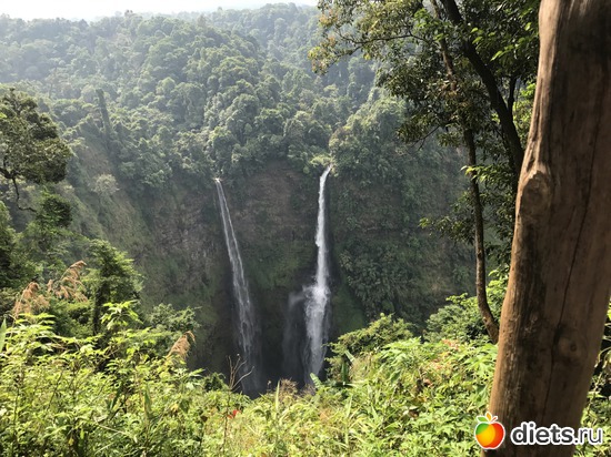 374 ����: ������ 2017. ����