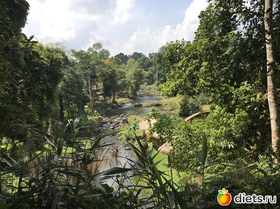 379 ����: ������ 2017. ����