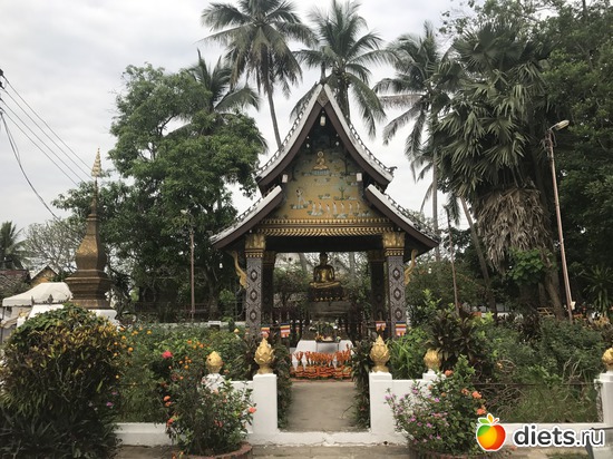 168 ����: ������ 2017. ����