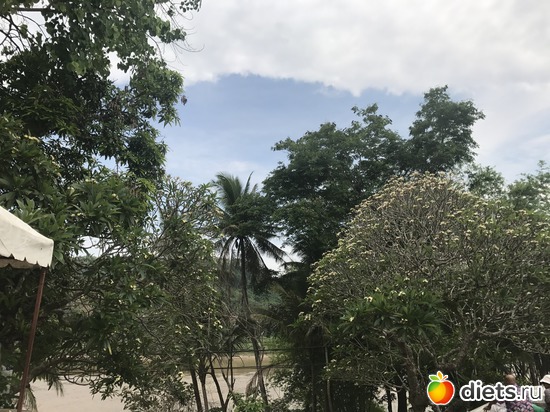 173 ����: ������ 2017. ����