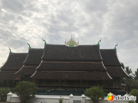 174 ����: ������ 2017. ����