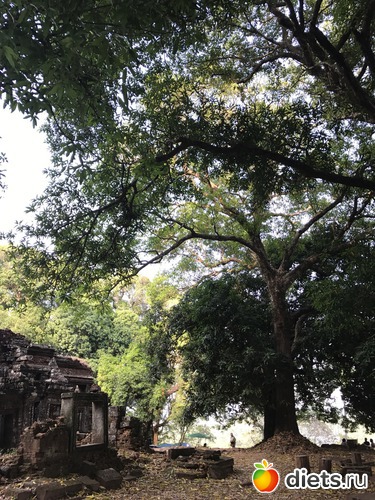 382 ����: ������ 2017. ����