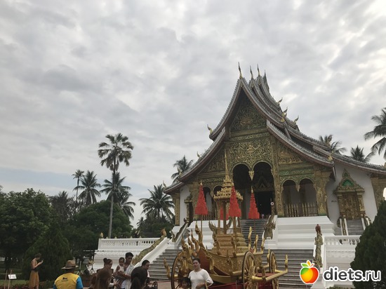 176 ����: ������ 2017. ����