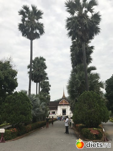 177 ����: ������ 2017. ����