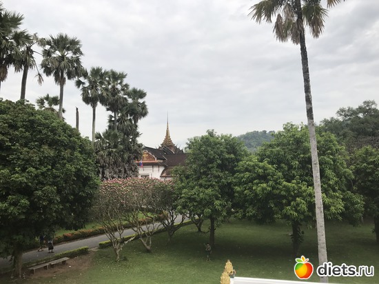 178 ����: ������ 2017. ����